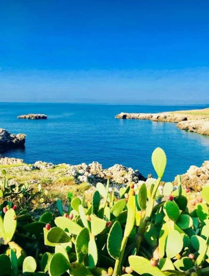 나르도 Il Giardino Dei Tramonti B&B 외부 사진